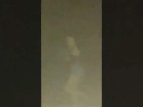 crazy lady on flakka drug chases us in our car… don’t do drugs