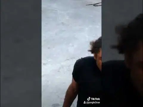 Flakka Michael Jackson