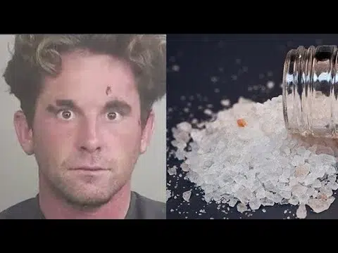 Flakka: The Zombie Drug