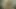 Candy’s Cat House – 1972