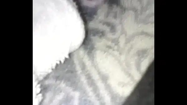 Xvideos presents black nasty