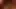 Xhamster xtoastadox stopped by…