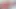 Cheerleaders Jade Nile and Nova Cane Eat Pussy