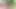 CHRISTMAS GIFT FOR XHAMSTER FANS – PETITEHORNY