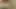 Lead cheerleader strips on video
