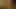 Nude Celebrities in the Jungle