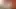 Naked Video Call Service – BlackyBullDick xHamster our Model