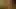 Nude Celebrities in the Jungle