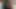 BelleBee Tiktok Porn – she likes blow dicks as catgirl Neko