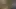 Nice fuck