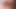Pussy Cat – Queensnake.com, Queensect.com